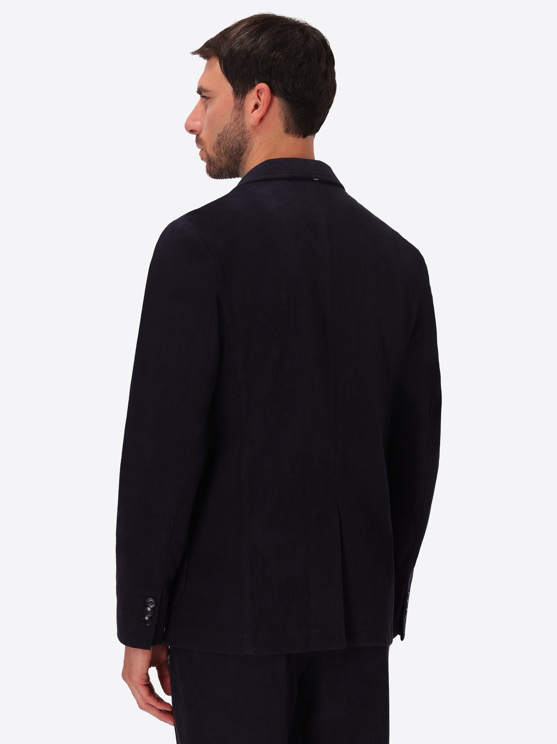 Leonardo Blue 1000-Stripe Super-Comfort Velvet Jacket - Model Back View