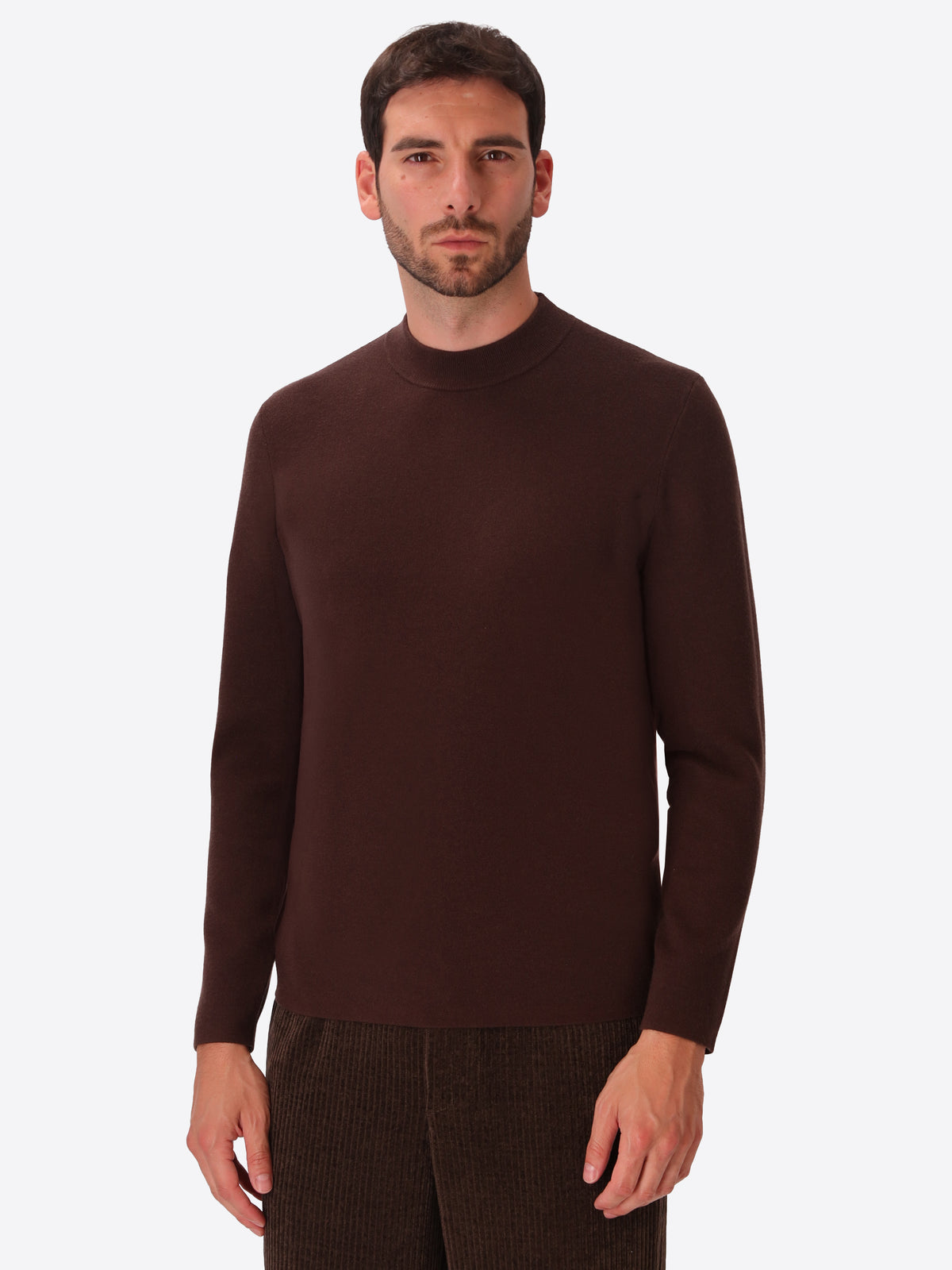 Brown Sustainable Viscose-Blend Compact Knit Turtleneck Sweater Ayres - Model Front View