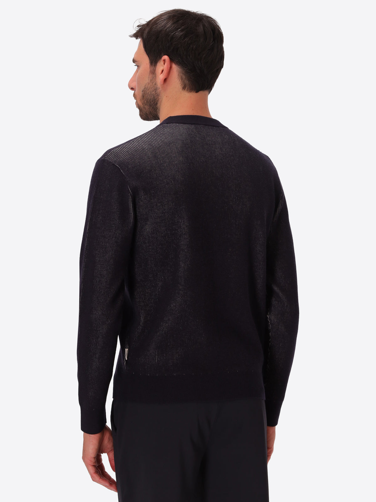Blue Sustainable Viscose-Blend Sweater Aloisio - Model Back View