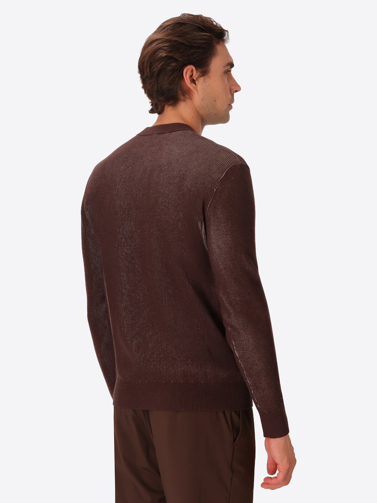 Brown Sustainable Viscose-Blend Sweater Aloisio - Model Back View