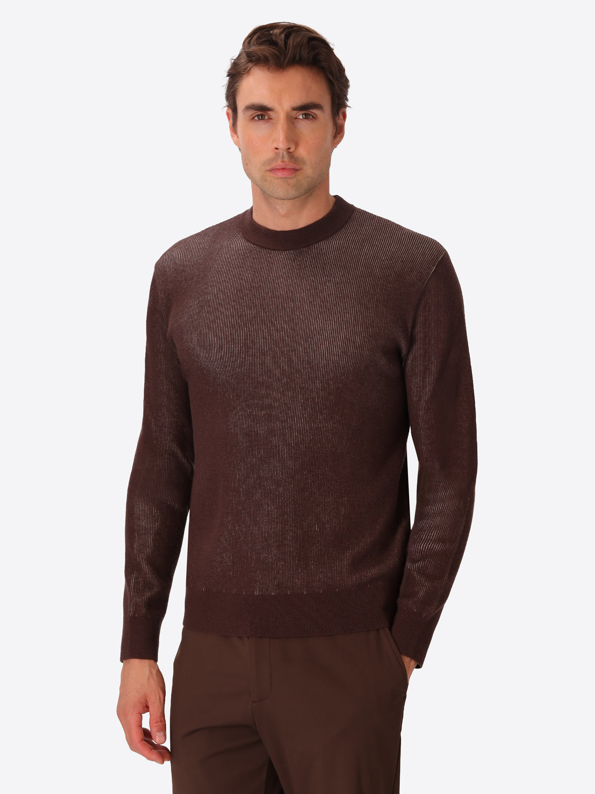 Brown Sustainable Viscose-Blend Sweater Aloisio - Model Front View