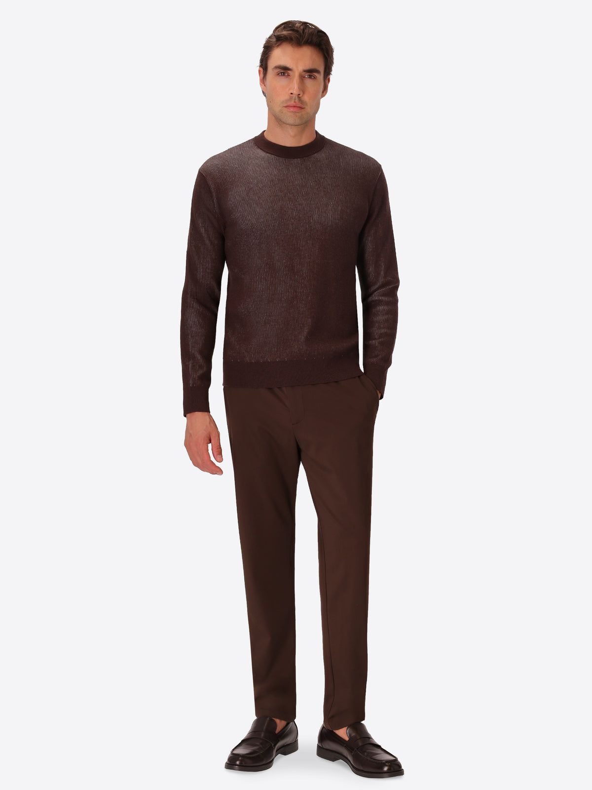 Brown Sustainable Viscose-Blend Sweater Aloisio - Model Full Body Shot