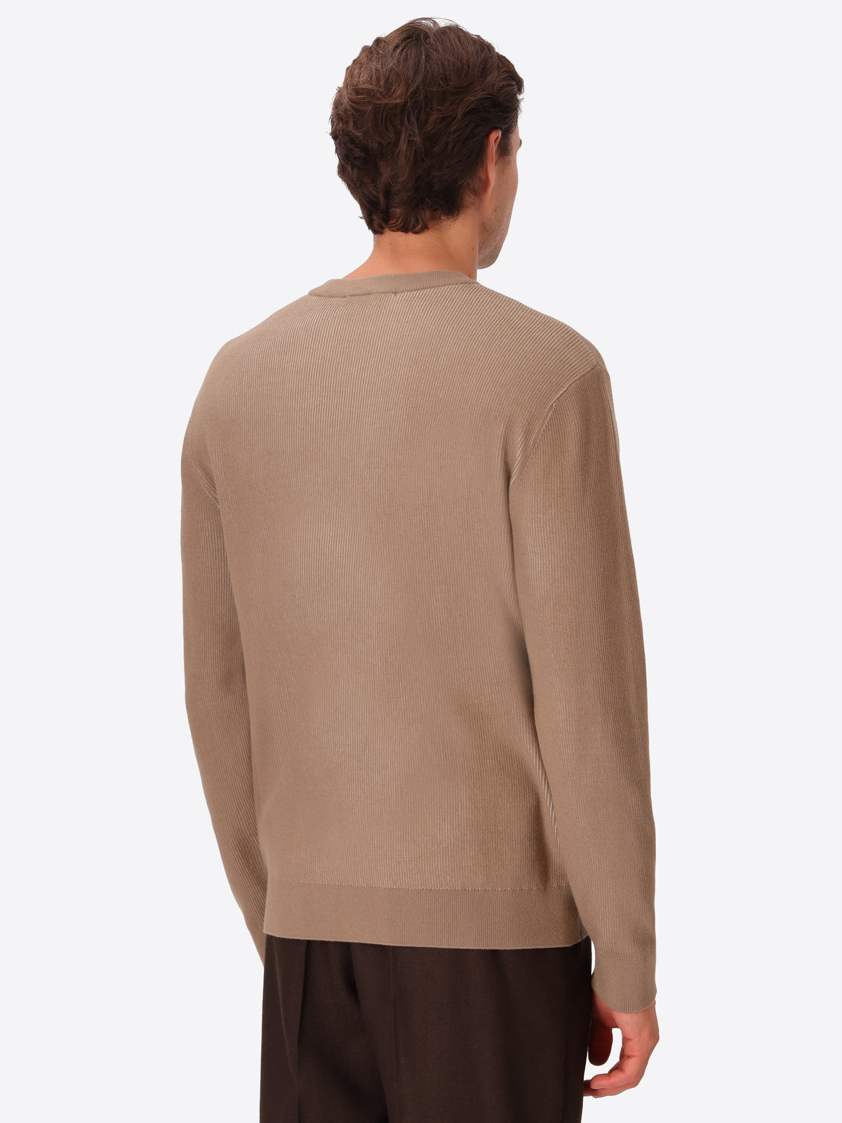 Dove Grey Sustainable Viscose-Blend Sweater Aloisio - Model Back View