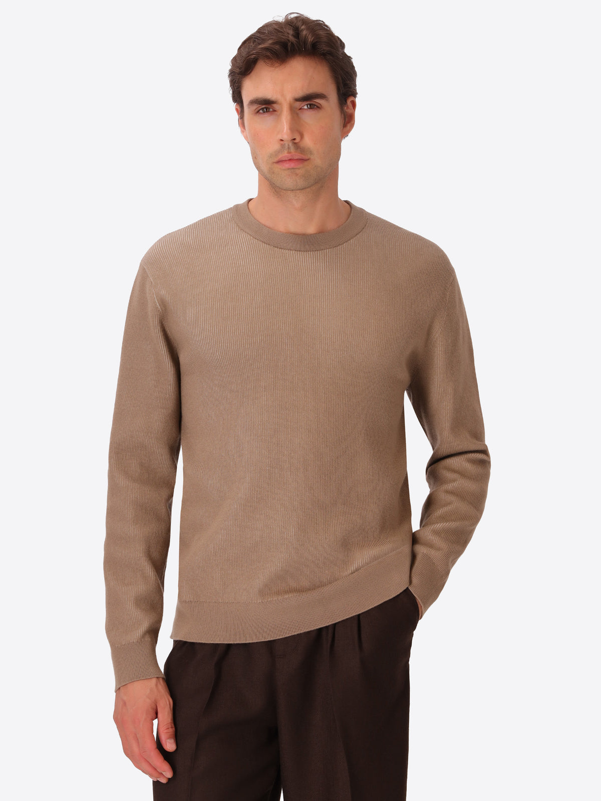 Dove Grey Sustainable Viscose-Blend Sweater Aloisio - Model Front View