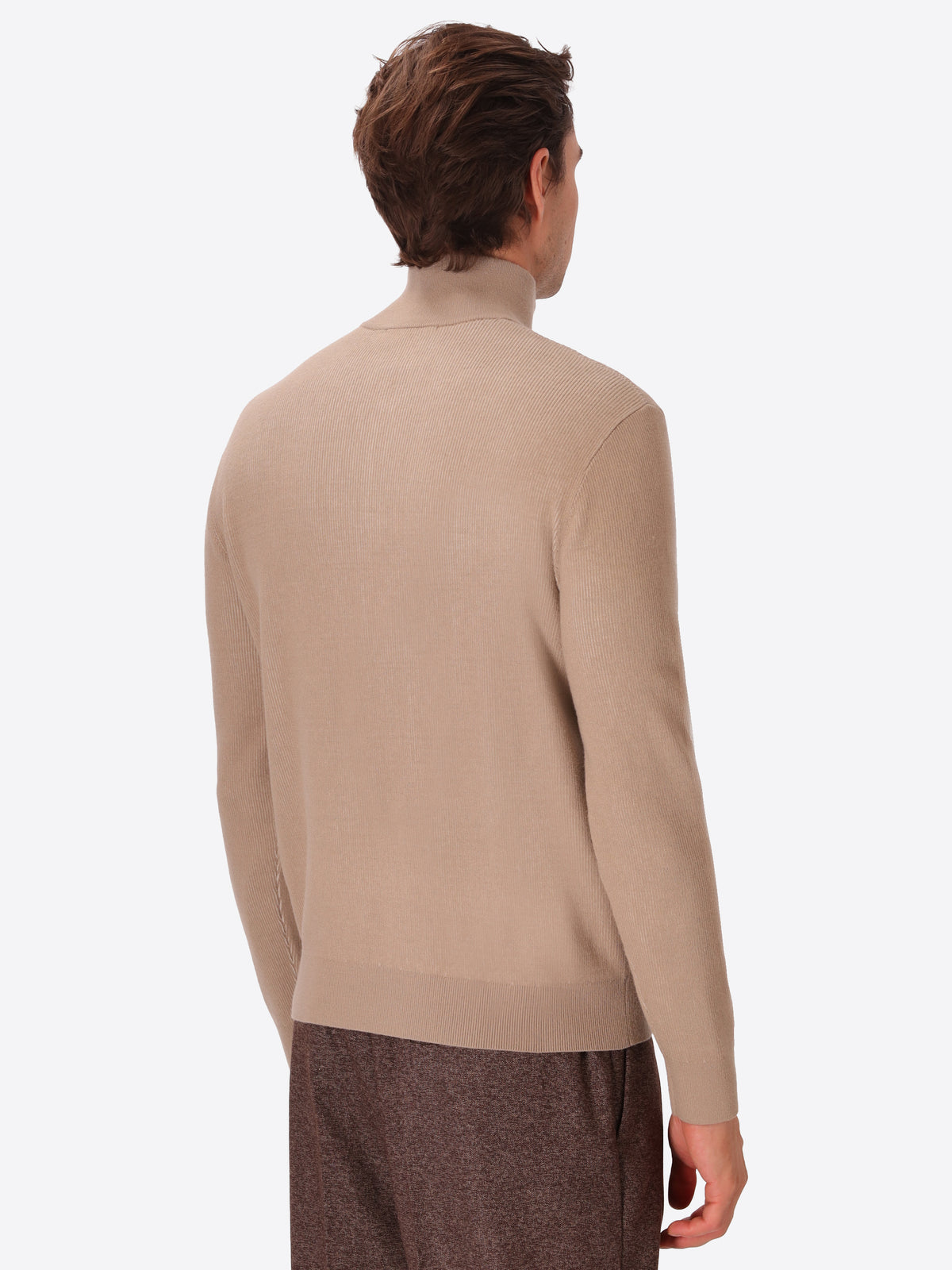 Dove Grey Sustainable Viscose-Blend Zip Turtleneck Sweater Aloisio - Model Back View