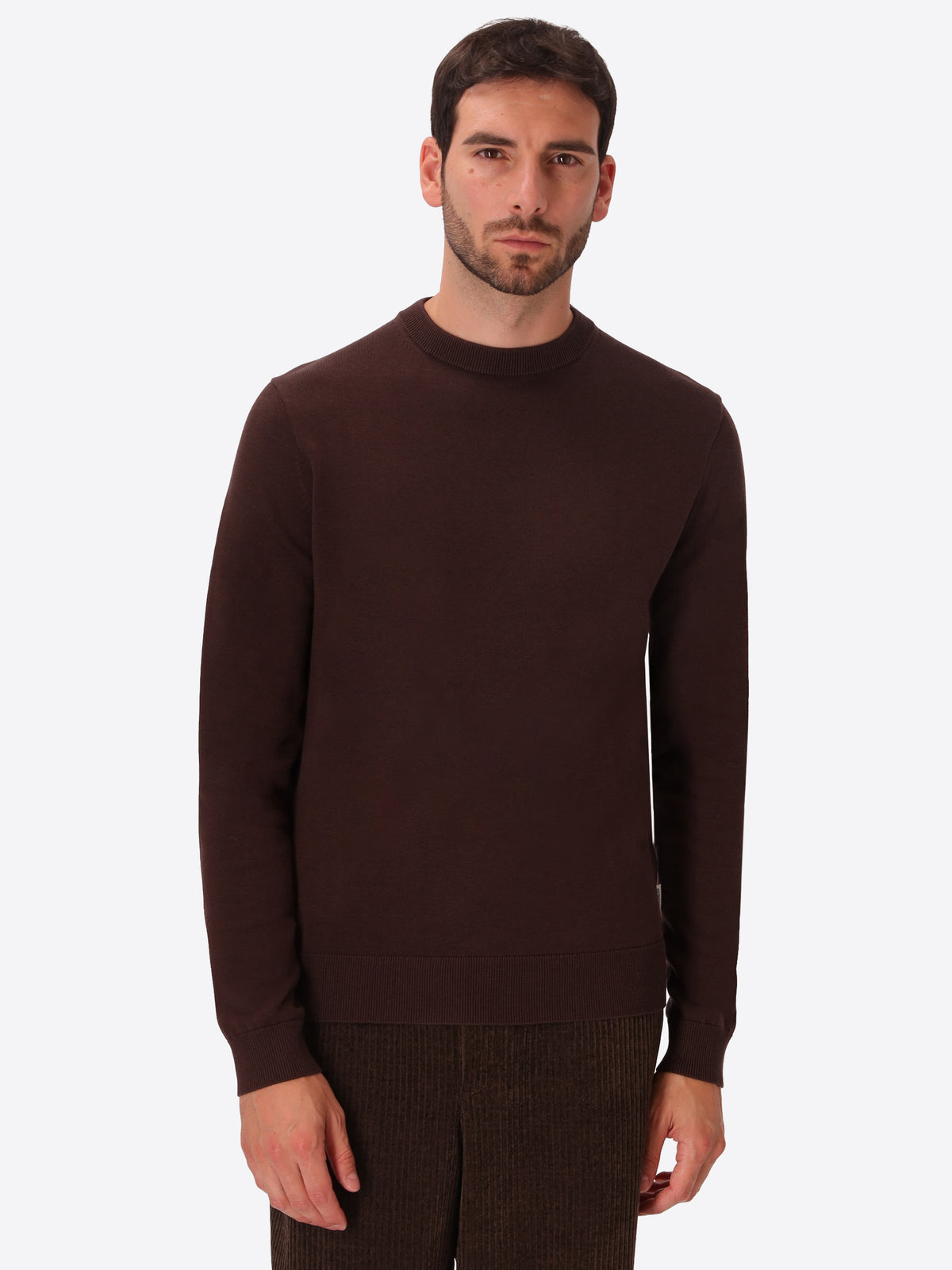 Brown Technical Cotton-Blend Sweater Perugino - Model Front View